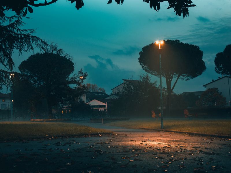 Oświetlona ścieżka wieczorem w ogrodzie